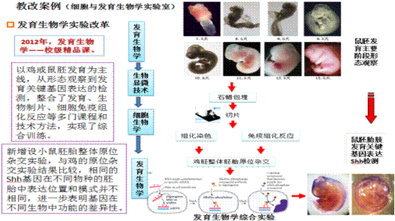 http://smkxsyzx.neau.edu.cn/BackFiles/Upload/ͼƬ1.png