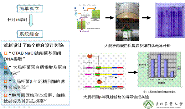 http://smkxsyzx.neau.edu.cn/BackFiles/Upload/ͼƬ13.png